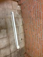 TL Lamp - Cool White - 36 Watt - Functionerend, Ophalen, Gebruikt, Minder dan 50 watt, Lamp