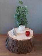 🪵BOOMSTAM LARIKSHOUT BIJZETTAFEL SALONTAFEL PLANTENTAFEL, Ophalen, Nieuw