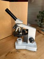 Euromex microscoop te koop., Audio, Tv en Foto, Optische apparatuur | Microscopen, Ophalen, Zo goed als nieuw