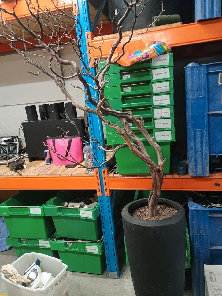 Kunstboom tak in hoge pot, Huis en Inrichting, Woonaccessoires | Kunstplanten en Kunstbloemen, Gebruikt, Ophalen