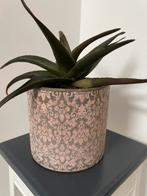 Schattige Bloemen, Huis en Inrichting, Kamerplanten, Ophalen, Overige soorten, Halfschaduw, In pot