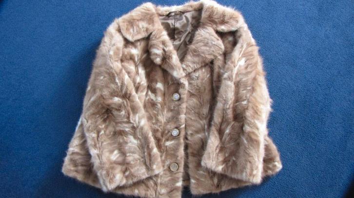 Jasje,  kort model, bont, Kleding | Dames, Jassen | Winter, Gedragen, Maat 38/40 (M), Beige, Verzenden