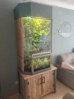 Paludarium volledig geautomatiseerd, Dieren en Toebehoren, Reptielen en Amfibieën | Toebehoren, Ophalen, Terrarium of Paludarium