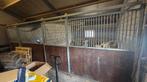 Paardenhok, paardenbox voorfront, Dieren en Toebehoren
