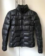 Timberland zwarte dames winterjas maat S, Zwart, Ophalen of Verzenden, Zo goed als nieuw, Timberland