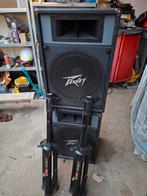 Peavey 15 inch speakers met standaards en versterker, Ophalen