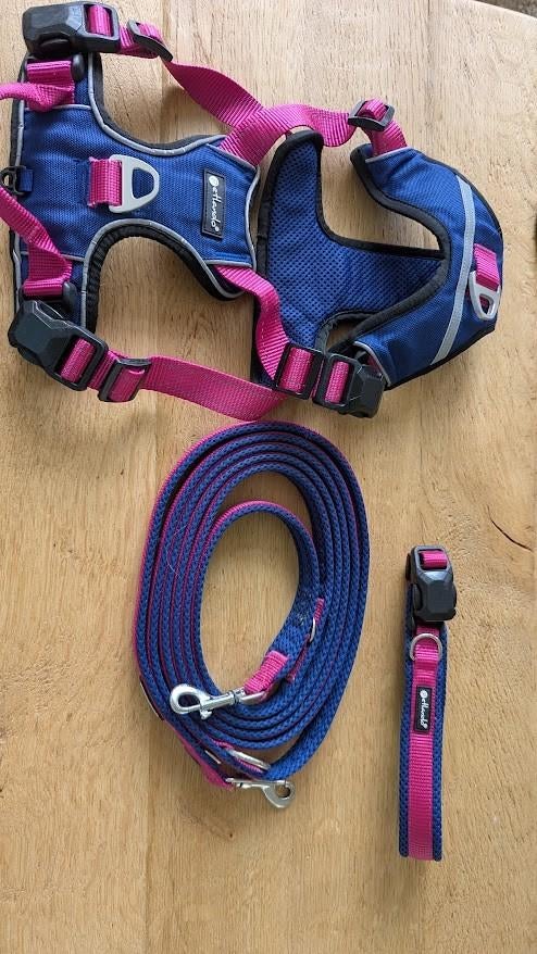 Mooie hondenriem, halsband en Y-tuig met magneetsluiting, Dieren en Toebehoren, Ophalen of Verzenden, Zo goed als nieuw, Hondenriem-accessoire