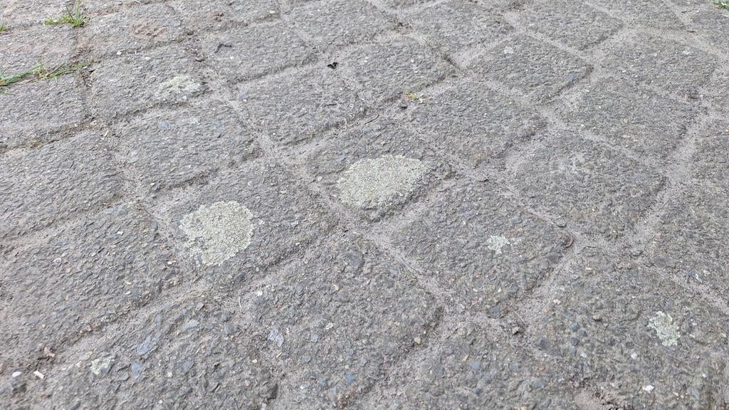 Betonstenen / Koppelstenen - Gebruikt, Ophalen, Gebruikt, Klinkers, 10 m² of meer