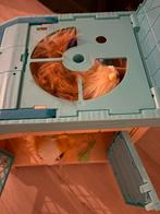 Little Live Pets Cavia met hok en baby's, Ophalen, Gebruikt, Overige typen