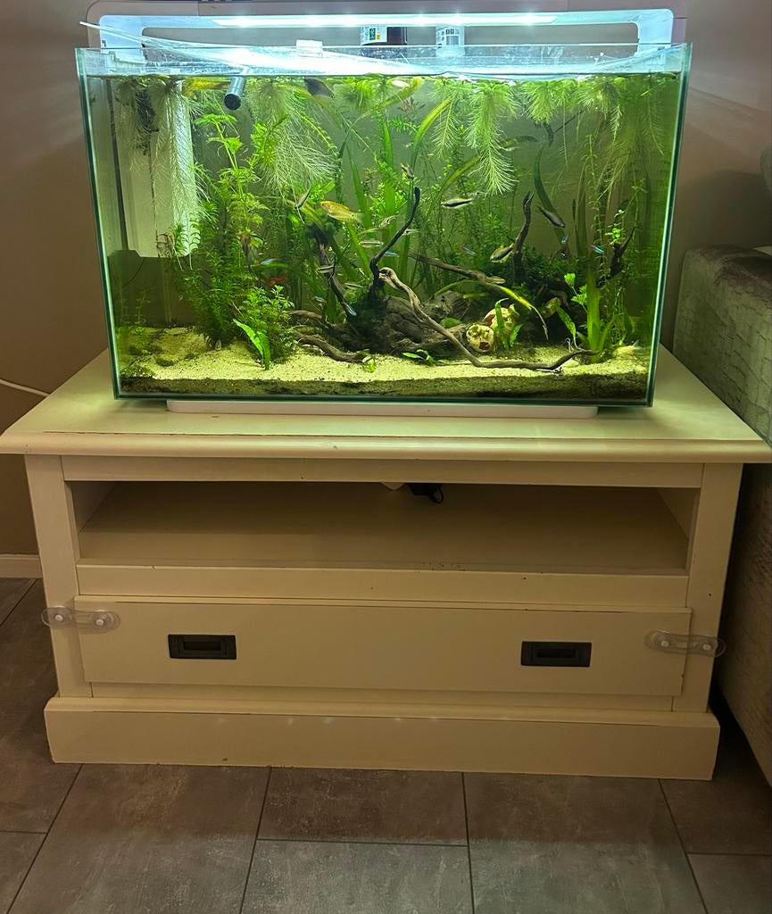 Aqarium, Dieren en Toebehoren, Vissen | Aquaria en Toebehoren, Ophalen, Gevuld zoetwateraquarium