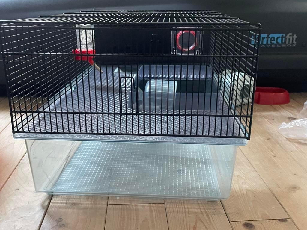 Hamster hok, Ophalen, 60 tot 90 cm, Nieuw, 75 tot 110 cm