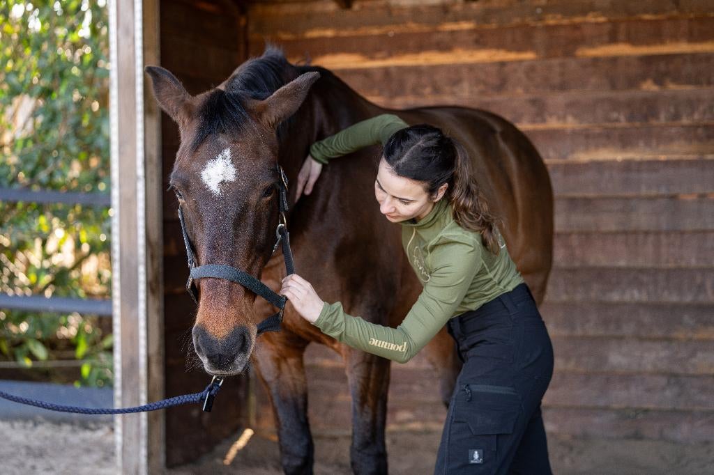 Paard bodywork / behandeling / massage, Paardrijles of Ponykampen