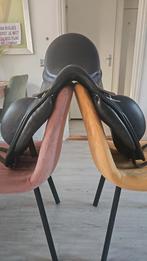 Harry dabbs 17,5 inch, Dieren en Toebehoren, Ophalen of Verzenden, Dressuur