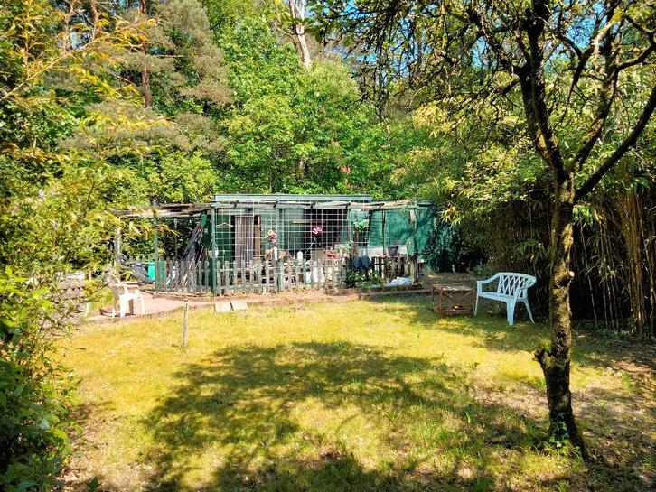 Bostuin, Recreatietuin, Tuin en Terras, Tuinhuizen, Gebruikt, Blokhut, Hout, 500 cm of meer, 400 cm of meer, 2 ramen, Met overkapping