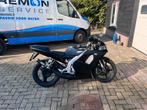 Aprilia rs50 replica (1996), Ophalen, Gebruikt, Overige modellen, Maximaal 45 km/u