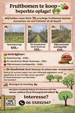 Goudreinet , dijkmanszoet , summercrisp, Ophalen, 100 tot 250 cm, Appelboom