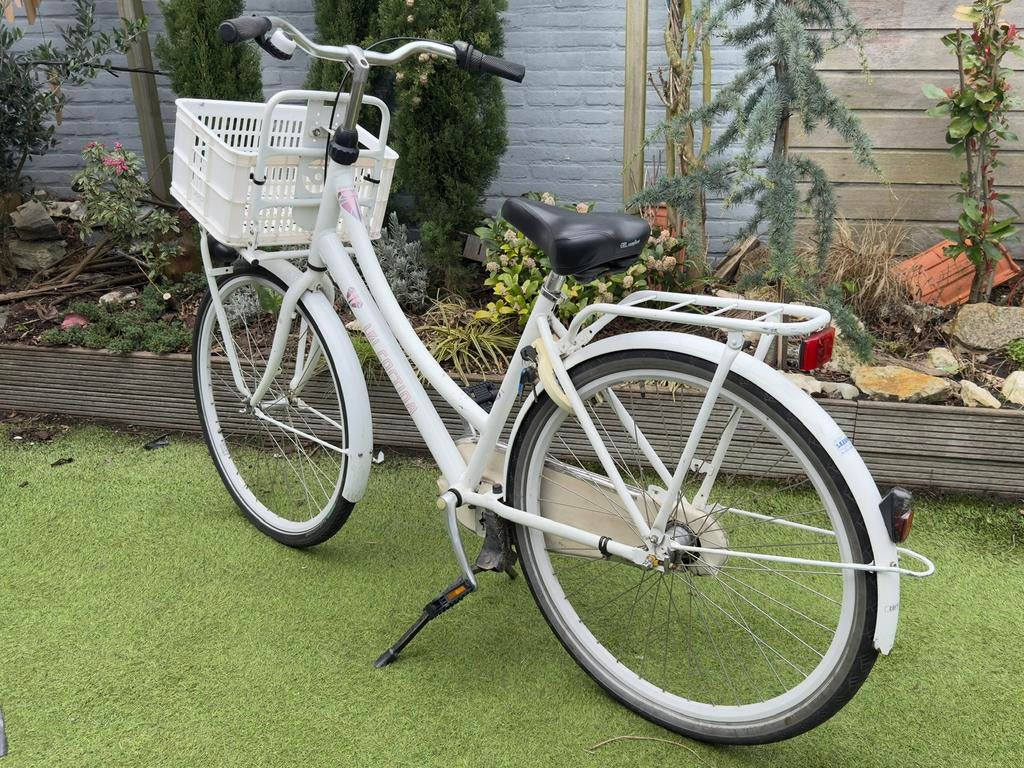 Cortina U4 Damesfiets – 51 cm – Wit – 3 versnellingen, Fietsen en Brommers, Fietsen | Dames | Damesfietsen, Terugtraprem, Gebruikt