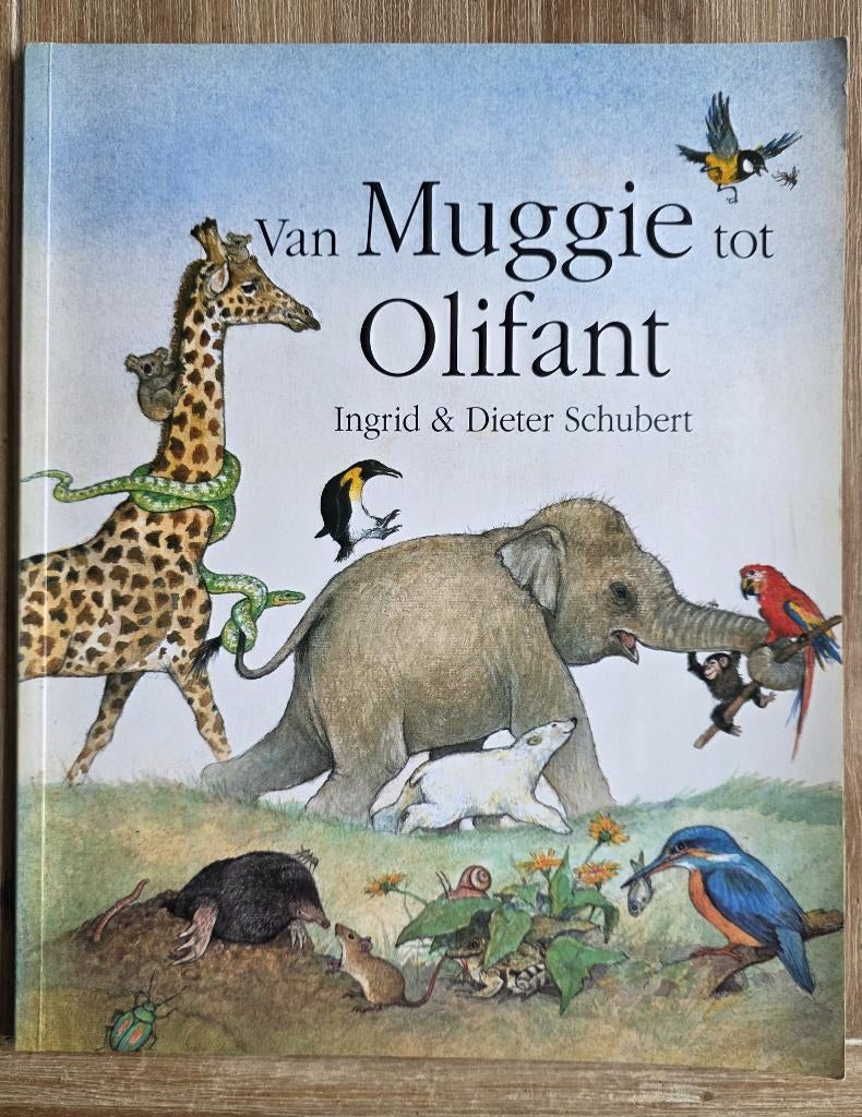 Van Muggie tot Olifant - Ingrid en Dieter Schubert, Boeken, Ophalen of Verzenden, Zo goed als nieuw, Ingrid en Dieter Schubert