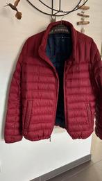 Tommy Hilfiger tussenjas maat XL, Ophalen of Verzenden, Zo goed als nieuw, Maat 56/58 (XL)
