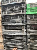 T.K. nog ca 60 hard plastic kratten, Ophalen, Gebruikt, 40 tot 60 cm, 50 tot 75 cm