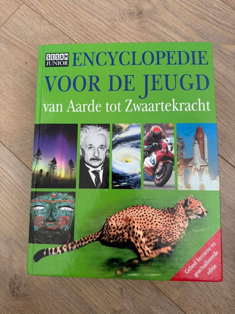 Ann Kramer - Encyclopedie voor de jeugd, Boeken, Gelezen, Non-fictie, Ann Kramer, Ophalen of Verzenden