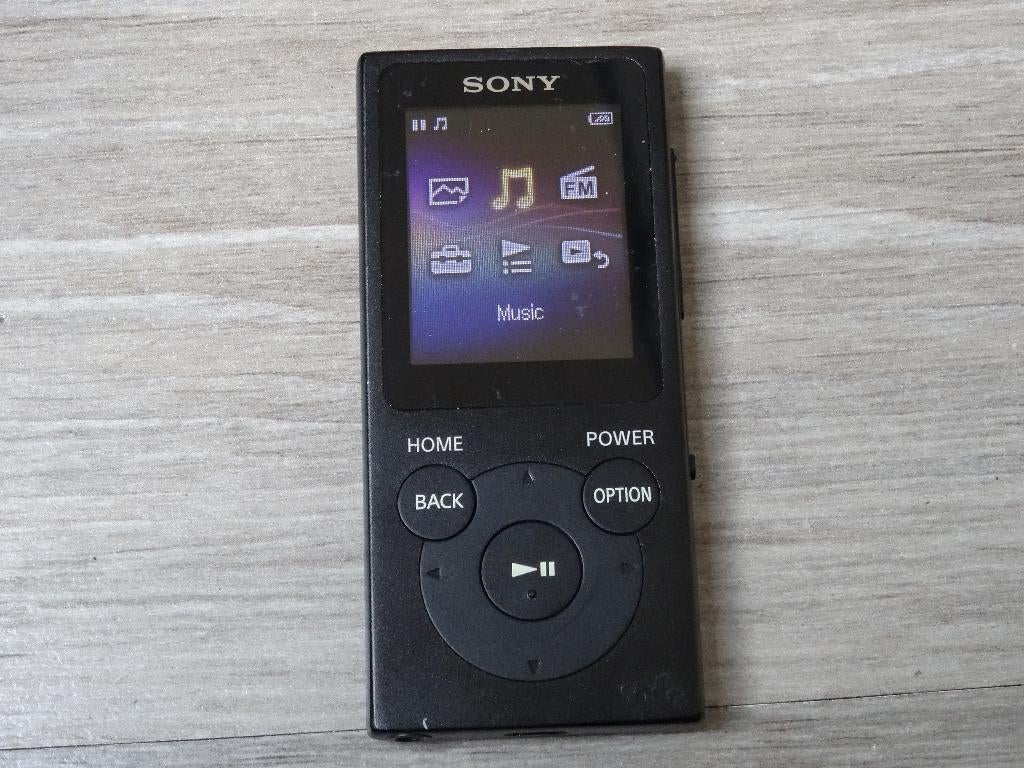 Sony Walkman NW-E393, Gebruikt, Met radio, Ophalen of Verzenden, Sony
