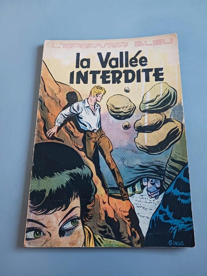L' épervier Bleu, la Valléé Interdite, 1st druk, goede staat, Boeken, Stripboeken, Gelezen, Eén stripboek, Ophalen of Verzenden