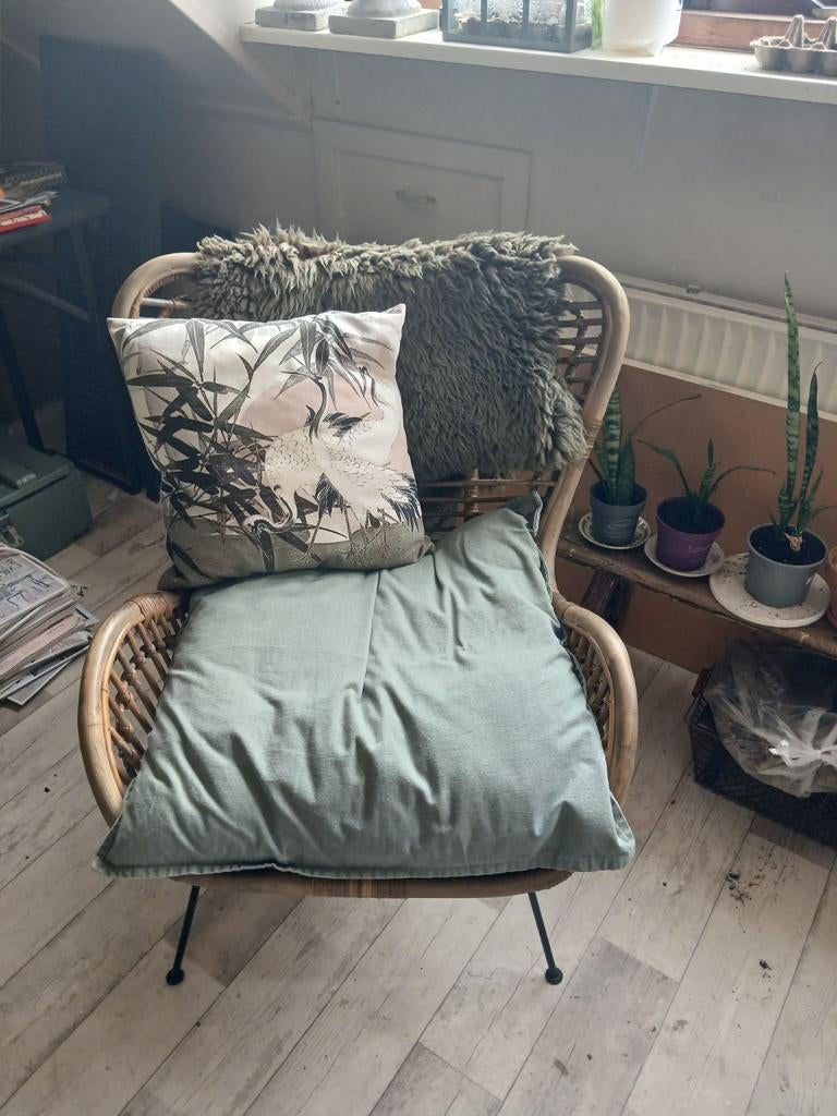 Rotan stoel, Ophalen, Zo goed als nieuw, Rotan