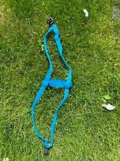 hondentuigje, Dieren en Toebehoren, Ophalen of Verzenden, Zo goed als nieuw, Hondenriem