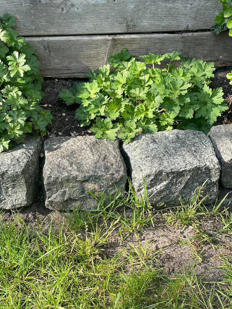 Gratis. 52 getrommelde koppelstones, Ophalen, Gebruikt, Klinkers, Natuursteen