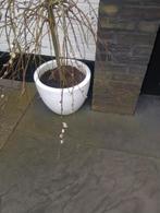 Bloempotten, Tuin en Terras, Bloembakken en Plantenbakken, Ophalen of Verzenden