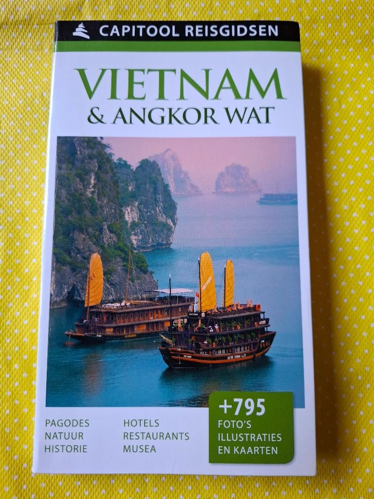 Capitool reisgids - Vietnam & Angkor Wat, Boeken, Gelezen, Capitool, Ophalen of Verzenden, Reisgids of -boek