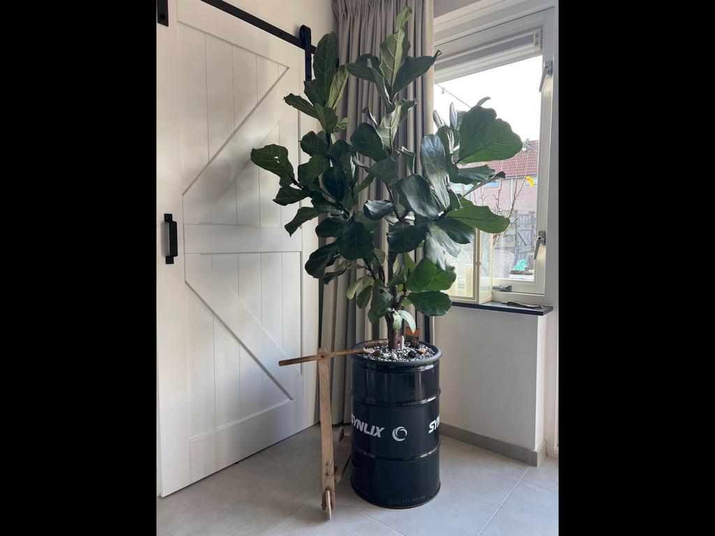 PLANTENBAK BLOEMBAK BLOEMPOT BRANDSTOFOPSLAG, Tuin en Terras, Bloembakken en Plantenbakken, NVT, Minder dan 60 cm, Rond, Nieuw