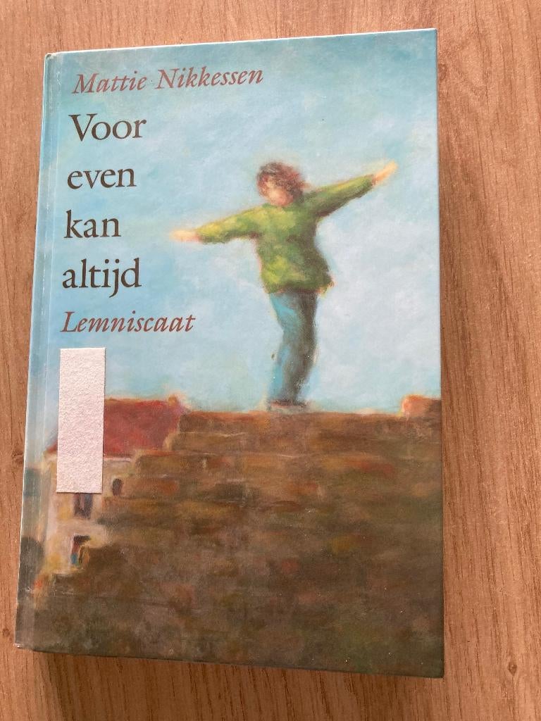 boek Mattie Nikkessen, Ophalen of Verzenden, Zo goed als nieuw