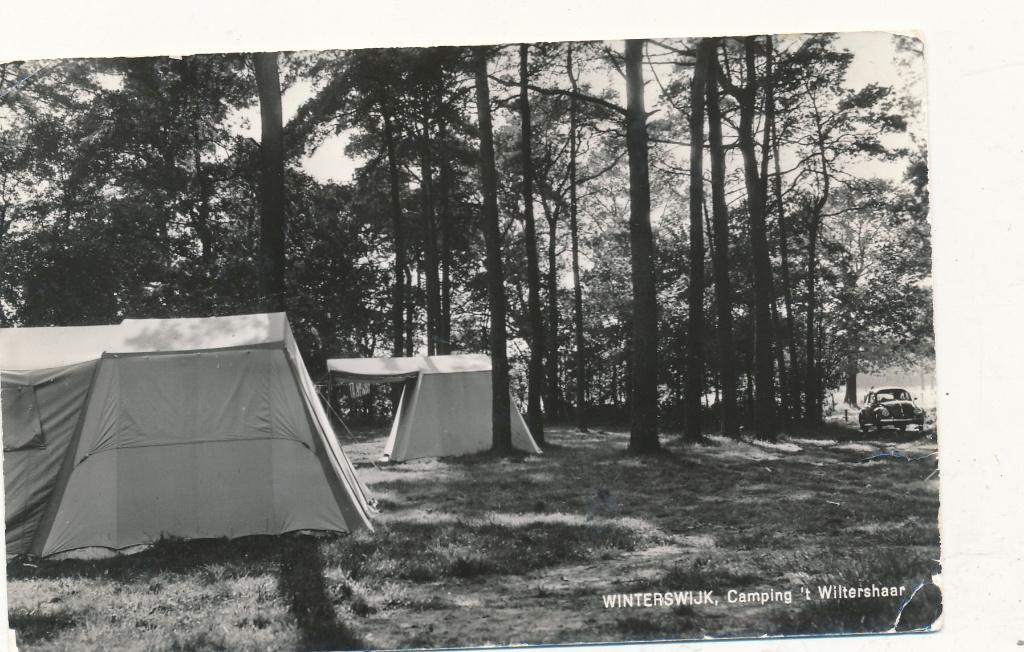 9702 Winterswijk, Camping ’t Wittersheer, Ophalen of Verzenden, 1940 tot 1960, Gelderland
