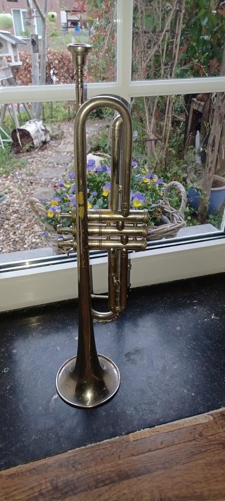 Mooie trompet, Ophalen of Verzenden