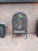 Pappegaai kooi, Dieren en Toebehoren, Vogels | Hokken en Kooien, Ophalen of Verzenden, Zo goed als nieuw