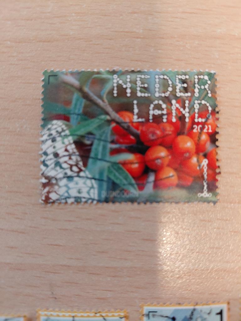 2021 Beleef de natuur duindoorn, Verzenden, Gestempeld