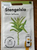 Stengelsla (Celtuse/Aspergesla) Zaadjes - Makkelijke Moestui, Ophalen of Verzenden, Voorjaar, Volle zon, Zaad