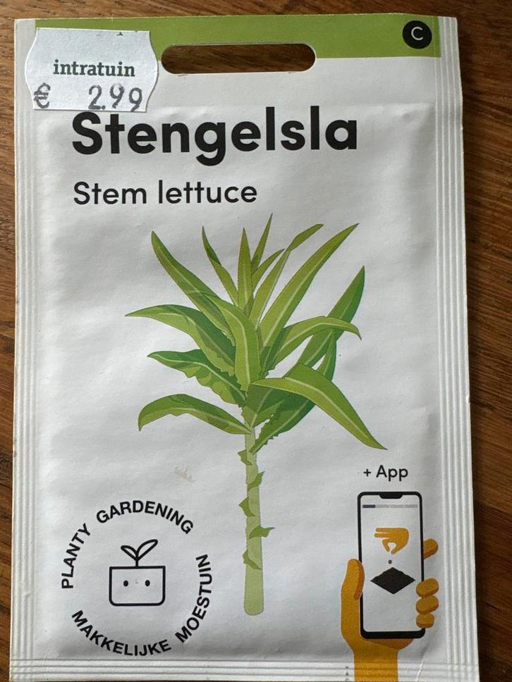Stengelsla (Celtuse/Aspergesla) Zaadjes - Makkelijke Moestui, Tuin en Terras, Bloembollen en Zaden, Zaad, Voorjaar, Volle zon
