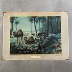 Schoolplaat Onder de dadelpalmen – Koekkoek 1934, Antiek en Kunst, Ophalen of Verzenden, Natuur en Biologie