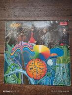 Bee Gees 1st!!, Ophalen of Verzenden, Zo goed als nieuw, Overige formaten, Poprock