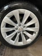 Tesla Model X 20 inch velgen + winterbanden 4-7 mm, Auto-onderdelen, Banden en Velgen, Ophalen, Gebruikt, 255 mm, Banden en Velgen