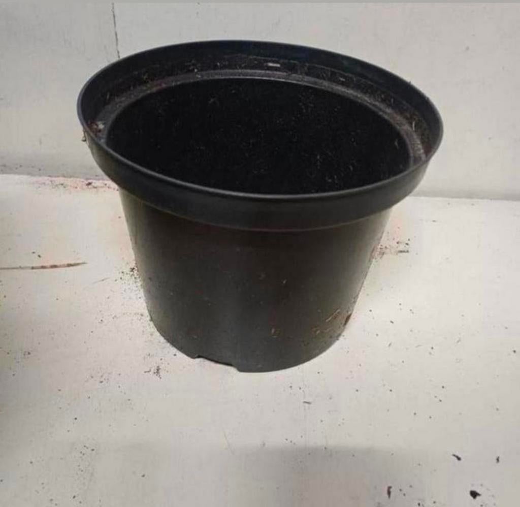 Kweekpotten plantenpotten bloempotten 5 liter, Tuin en Terras, Kunststof, Gebruikt, Rond, Ophalen of Verzenden