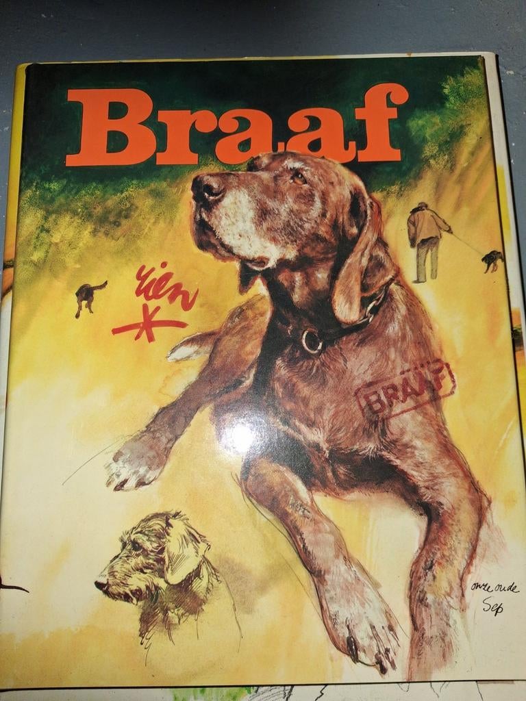 Braaf - honden rien poortvliet, Ophalen of Verzenden