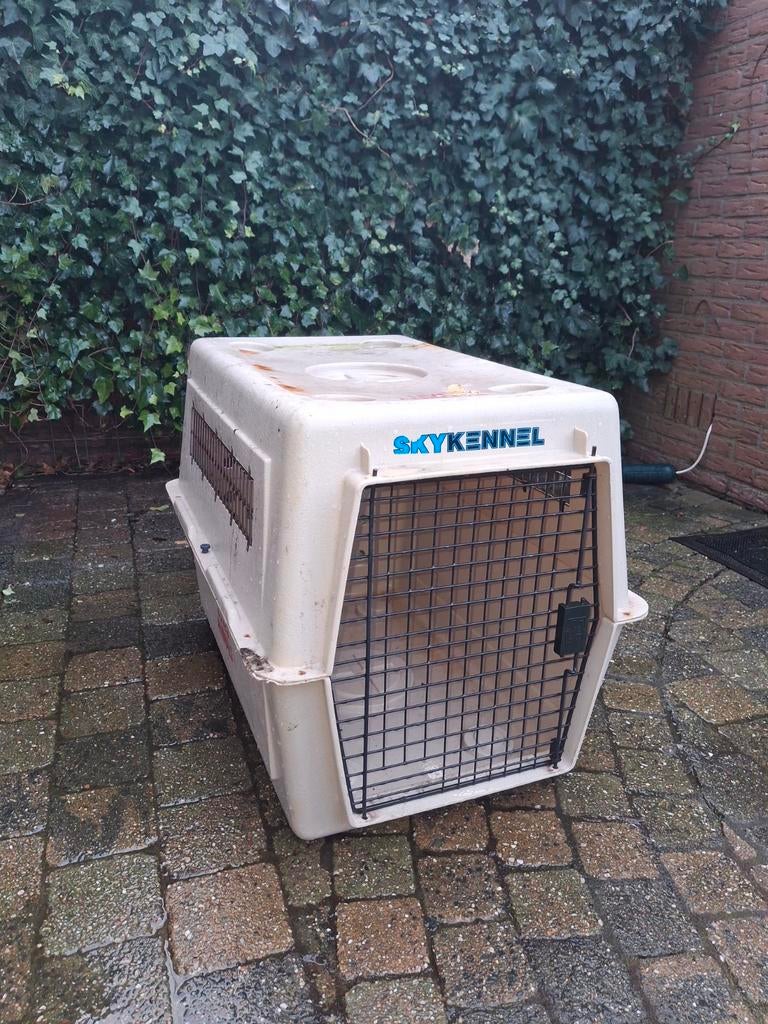 Gratis Bench (transport) mag tegen flesje witte wijn, Dieren en Toebehoren, Hondenbenches, Ophalen of Verzenden