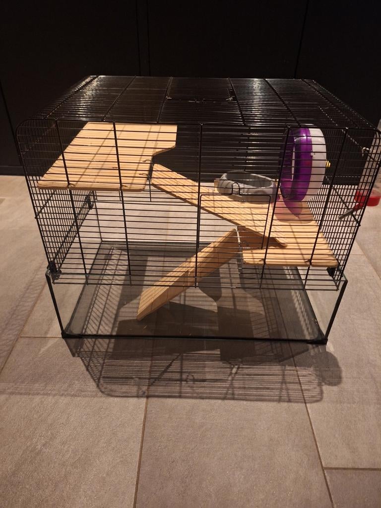 Dwerghamster kooi, Dieren en Toebehoren, Ophalen