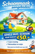 Schoonmaak €50, Overige niveaus, Vanaf 10 jaar, Overige vormen