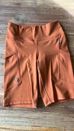 Fjallraven Abisko Short Tights. Damesmodel M, Ophalen of Verzenden, Nieuw, Kleding