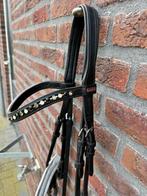 Premiere hoofdstel maat cob, Dieren en Toebehoren, Paarden en Pony's | Hoofdstellen en Tuigage, Ophalen of Verzenden, Gebruikt